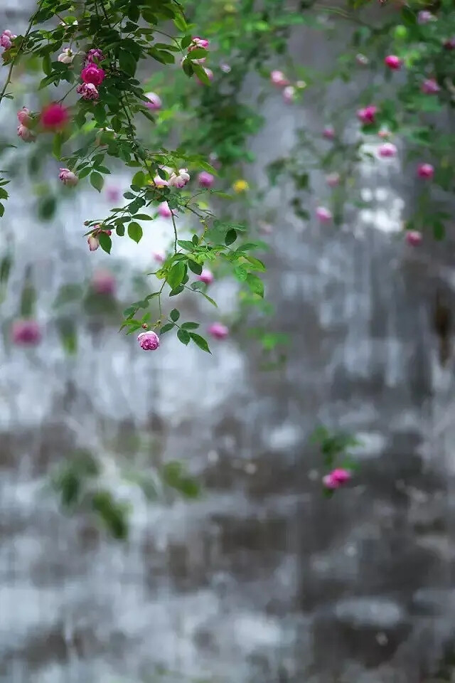 塞北秋风烈马，江南春雨杏花。