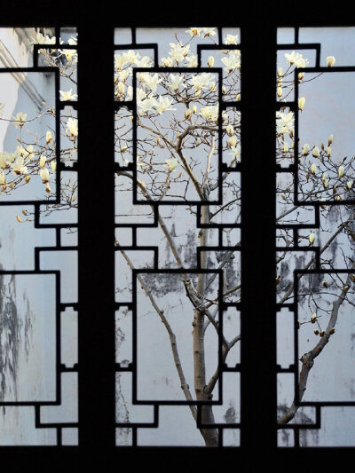中式 窗 花 景