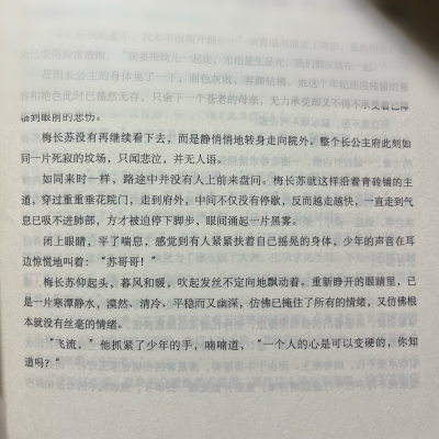 《琅琊榜》