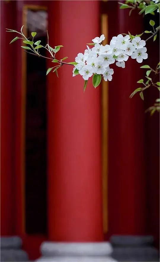 塞北秋风烈马，江南春雨杏花。