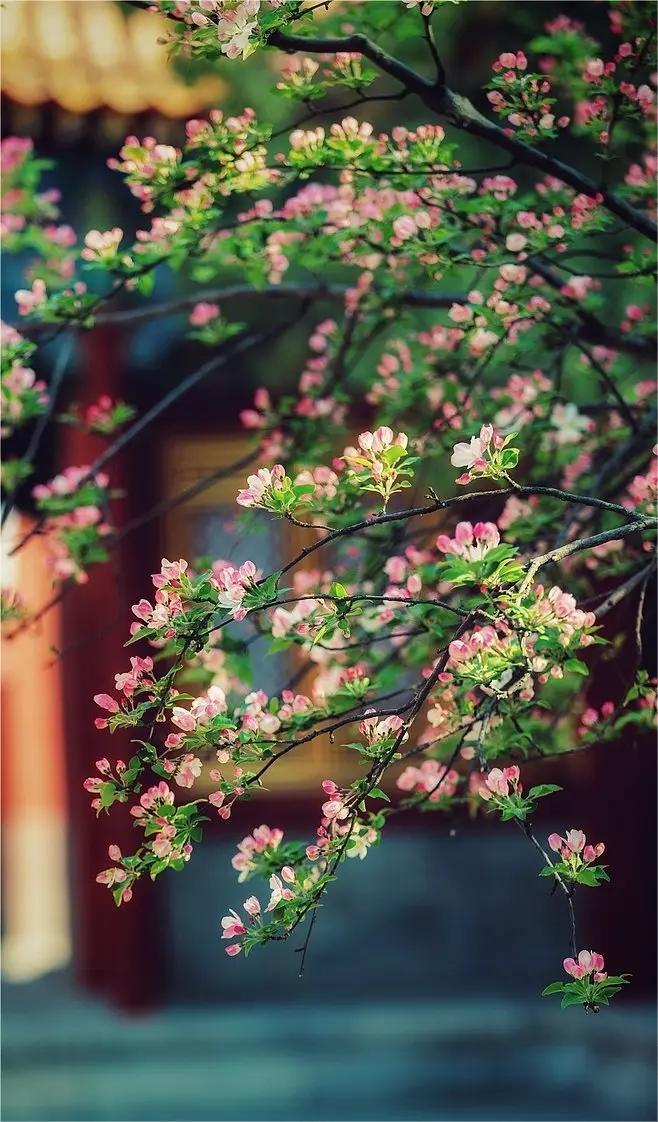 塞北秋风烈马，江南春雨杏花。