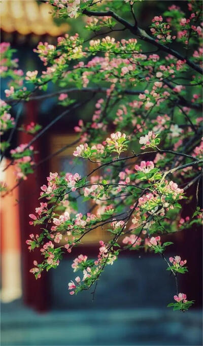 塞北秋风烈马，江南春雨杏花。