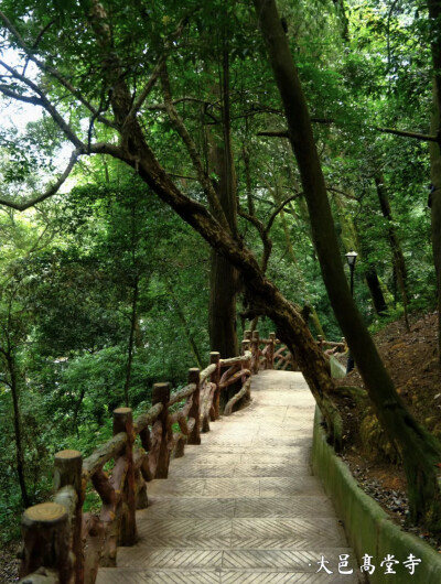 成都周边免费的、绝美徒步美景超治愈，你也来试试吧…
摄影：爱生活的空心菜