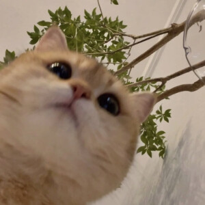 幼儿园等人来接的小朋友