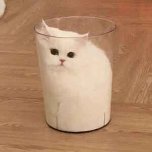 幼儿园等人来接的小朋友