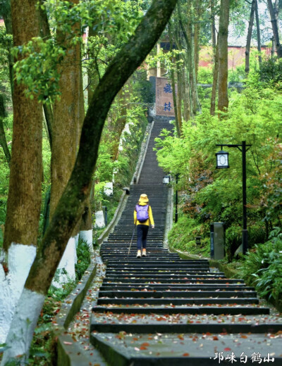 成都周边免费的、绝美徒步美景超治愈，你也来试试吧…
摄影：爱生活的空心菜