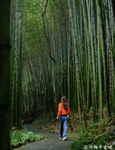 成都周边免费的、绝美徒步美景超治愈，你也来试试吧…
摄影：爱生活的空心菜