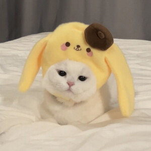 幼儿园等人来接的小朋友