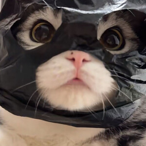 幼儿园等人来接的小朋友