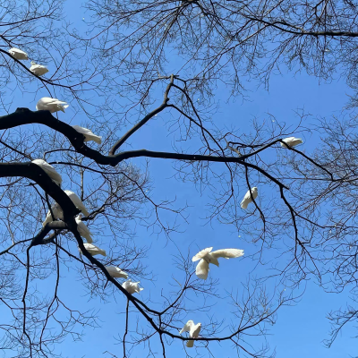 天空