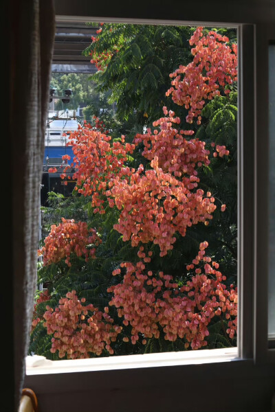 路过一场盛大的秋天