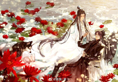 二哈和他的白猫师尊