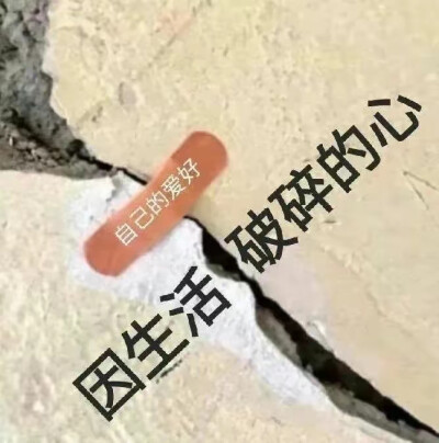 搞笑表情包