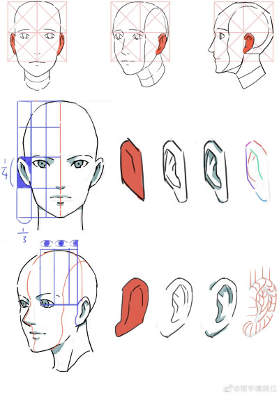 掌握五官画法