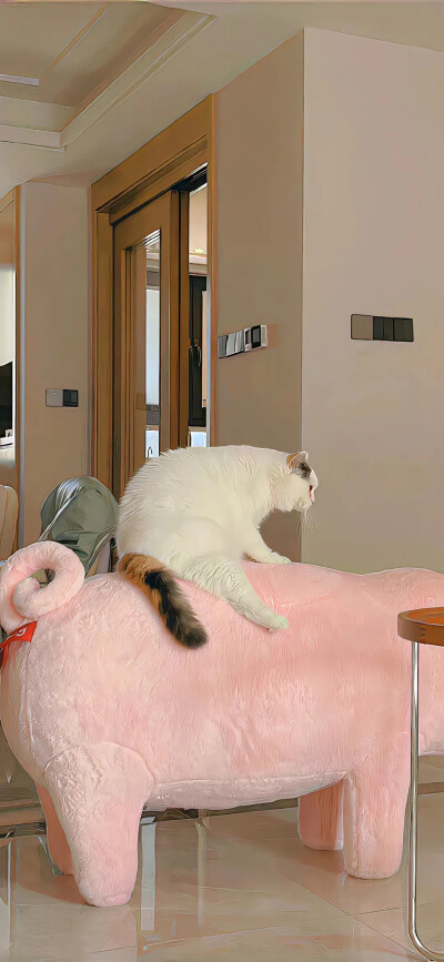 手机壁纸
喜欢点赞关注收藏