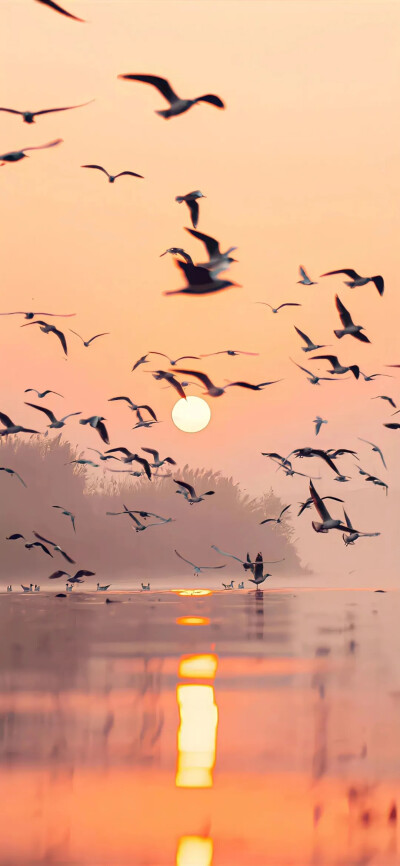 手机壁纸
喜欢点赞关注收藏