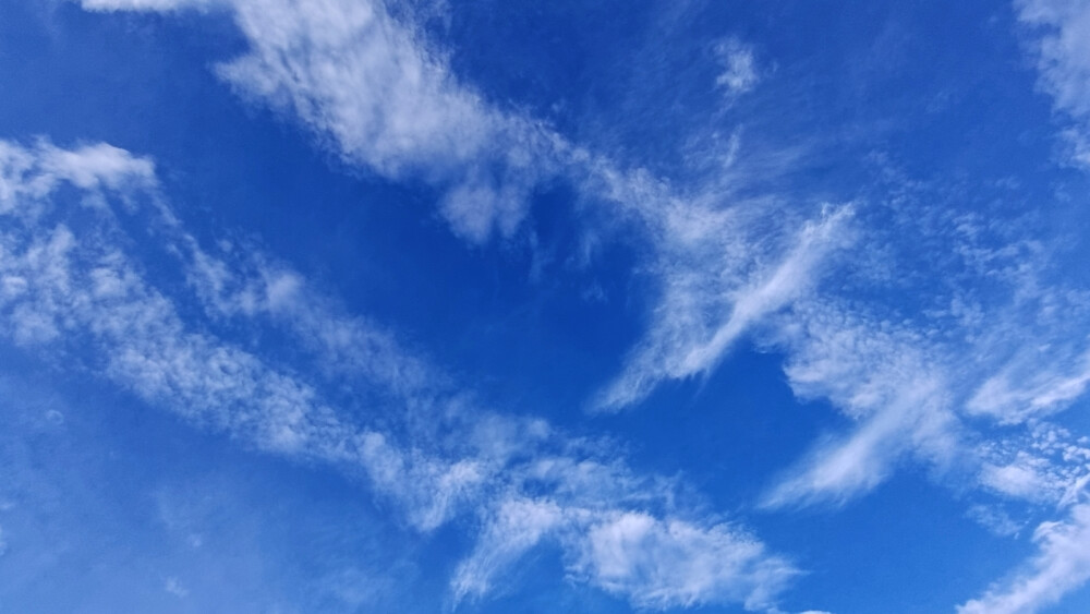  蓝天白云人间天堂。晴日的天空犹如纯蓝色穹顶，笼罩着秋日的大地；站在世纪广场的中央，眺望瞬息万变的天空，片片飘悠悠的白云，洋洋洒洒婀娜多姿地点缀在穹顶之中甚是喜爱。漫步在蔚蓝的天和洁白的云朵之下，敞开心扉用力深呼吸，感受自然的美好真乃是惬意无比。