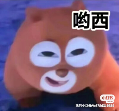 搞笑表情包