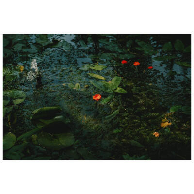 The orangery at Castle Ashby
ins@daniel casson