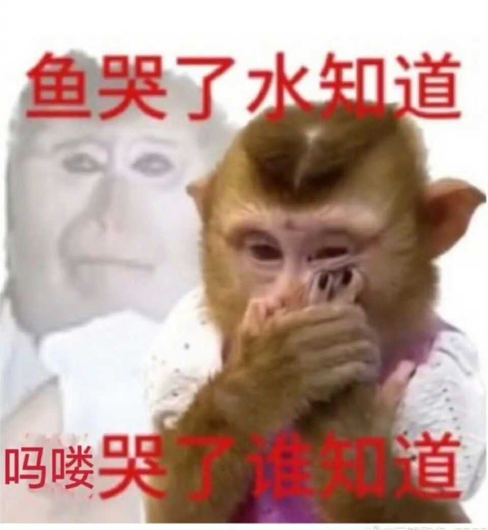 吗喽表情包