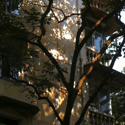 朋友圈背景