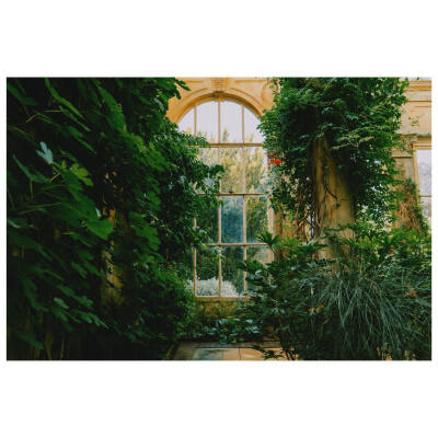 The orangery at Castle Ashby
ins@daniel casson