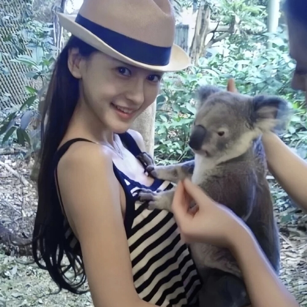 Angelababy