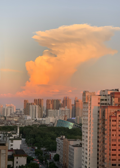 有一天 在厨房剥了很久的虾壳
抬头突然看见窗外的夕阳好好看
这个住处最好的就是这一点了
有空我们就在挤在这个小厨房里
洗菜切菜炒菜 看着窗外聊今天发生的事