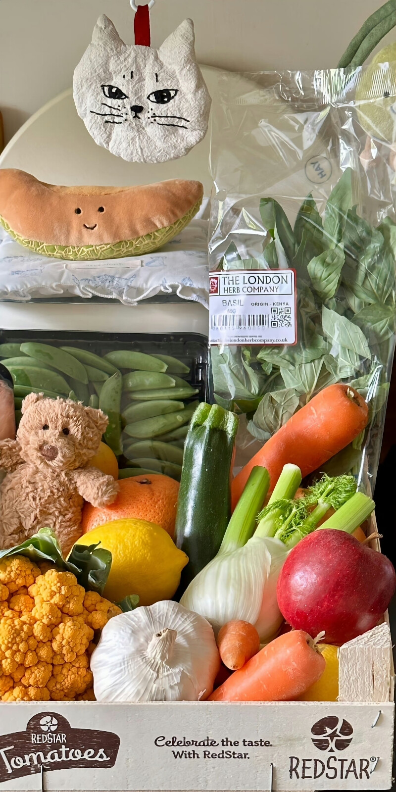 天会晴 雨会停 没有什么糟糕透顶 ​​​
#小清新壁纸#