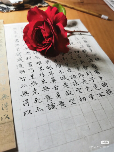 鲜花书法