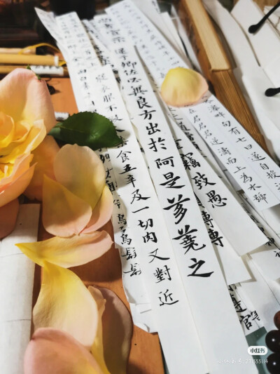 鲜花书法