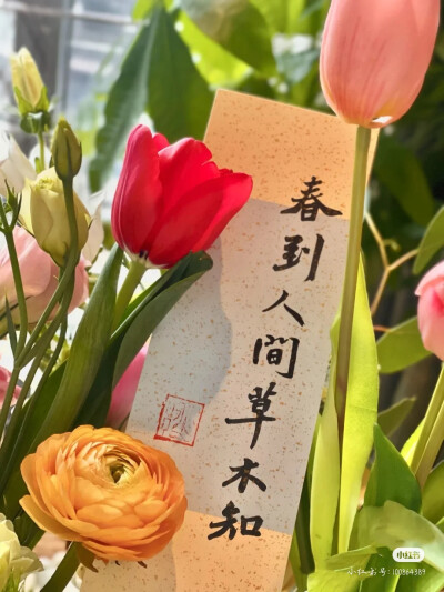 鲜花书法