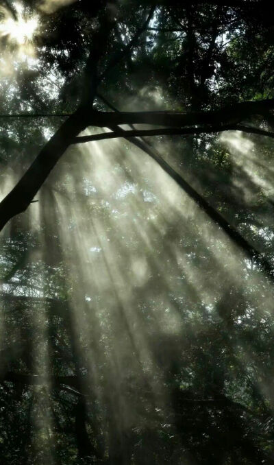 下雨天手机壁纸