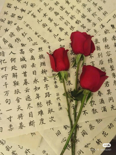 鲜花书法