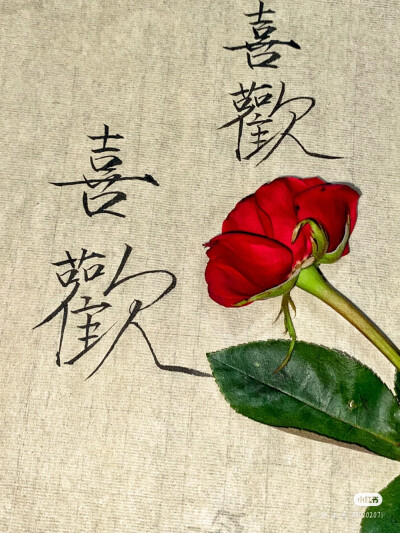 鲜花书法
