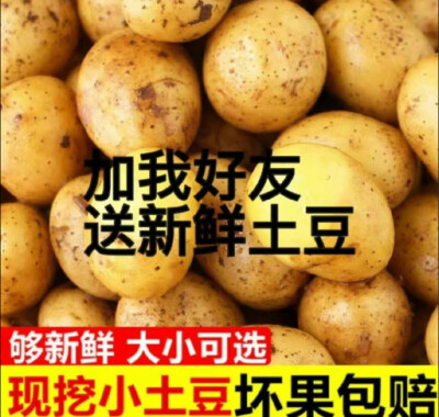 搞怪表情包