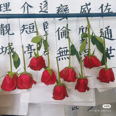 鲜花书法