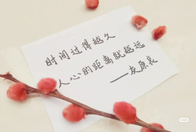 鲜花书法