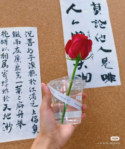 鲜花书法