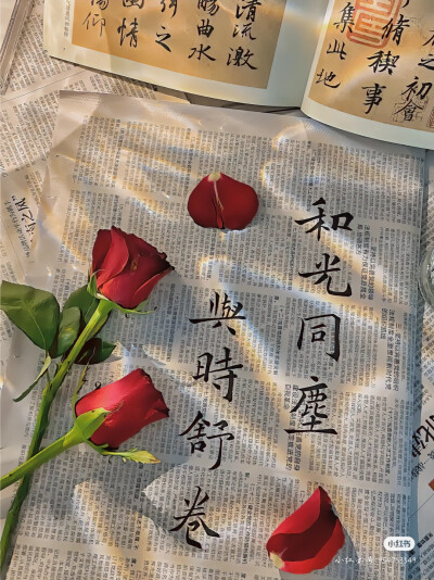鲜花书法