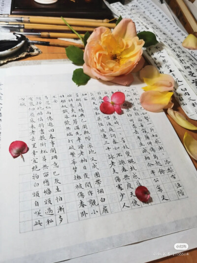 鲜花书法