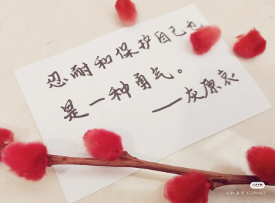 鲜花书法