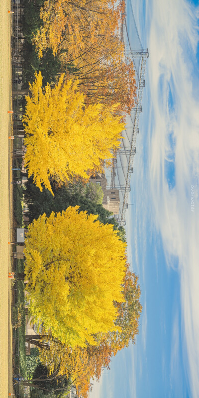 知秋至
「 Autumn.」