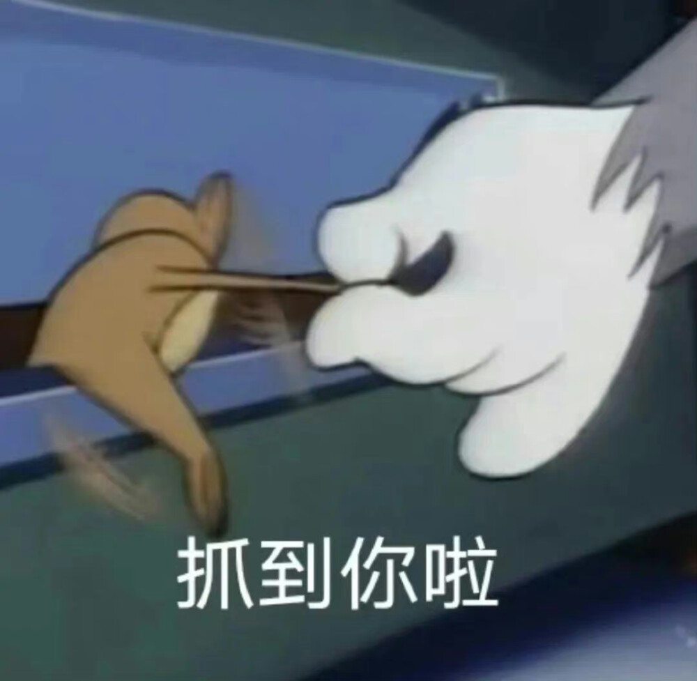 猫和老鼠表情包