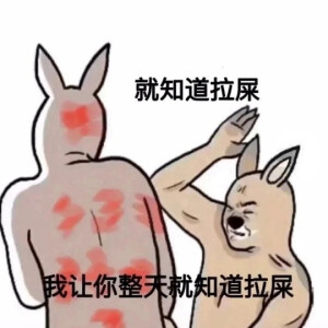 表情包