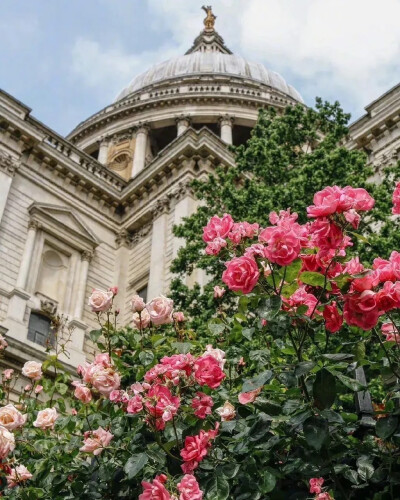 英国首都伦敦街头。花已经差不多淹没了街边的建筑，遮盖了本来的样子。不过这些花确实也阻碍了视线，保护了隐私。钢筋水泥的房屋，在视觉上也被这些鲜花所软化。