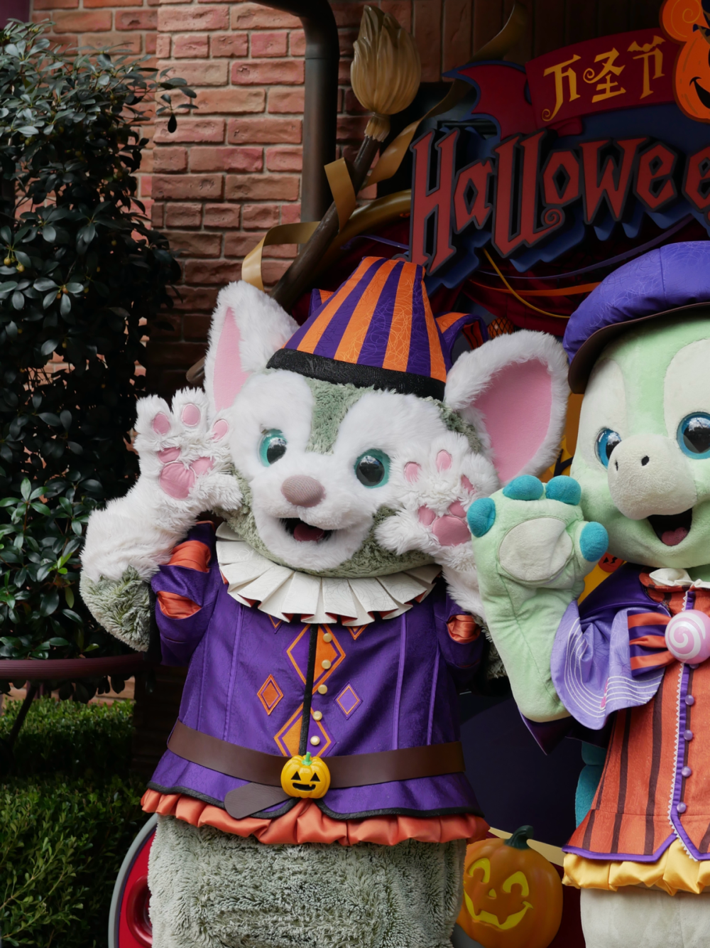 Halloween time in Disneyland ！