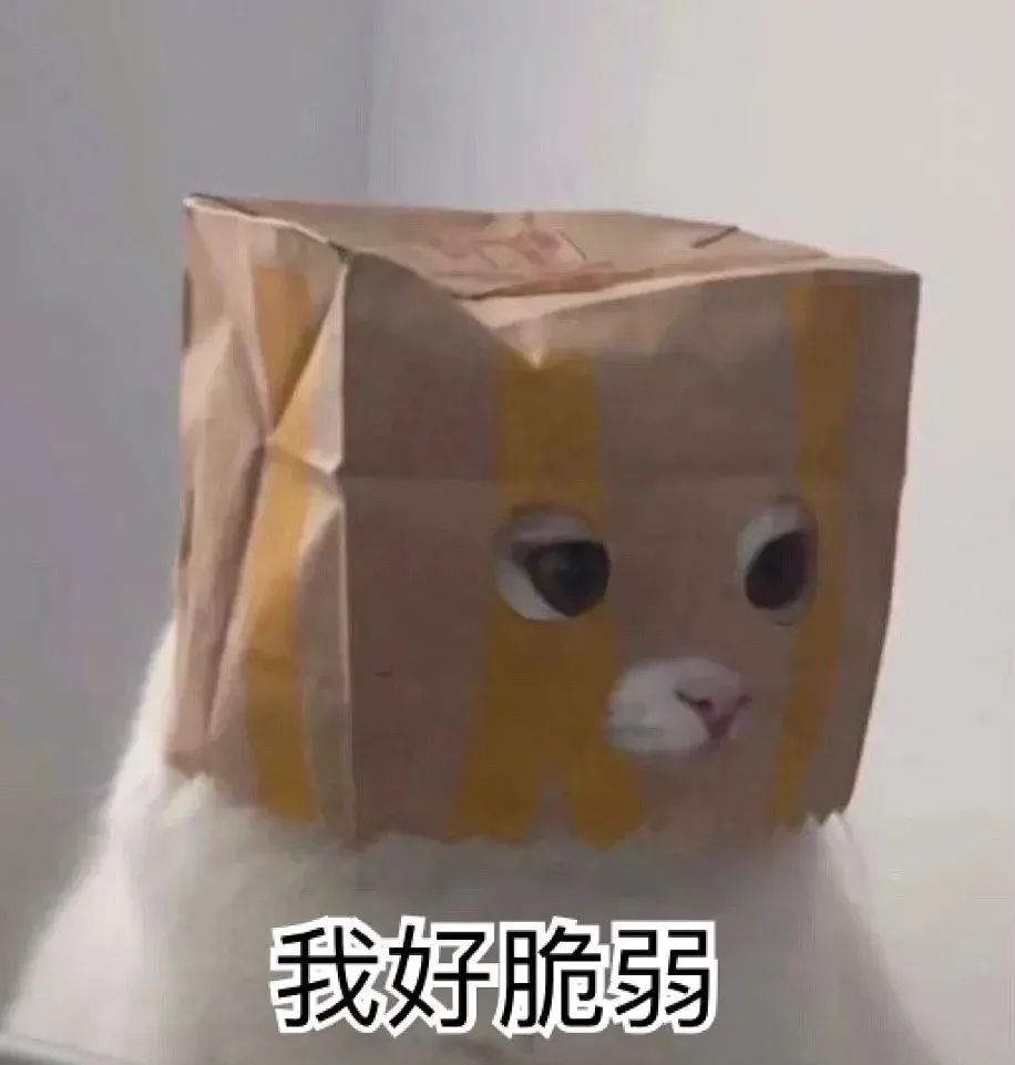 猫猫表情包
