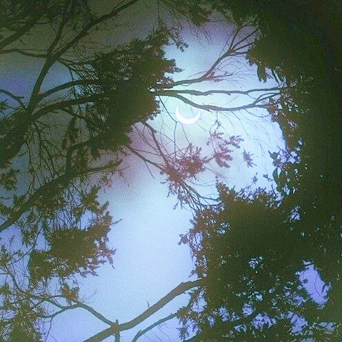 “沧海客归珠有泪，章台人去骨遗香。”