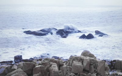 “沧海客归珠有泪，章台人去骨遗香。”